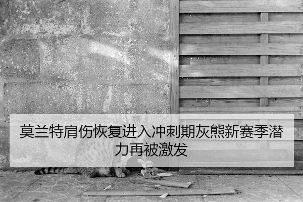 莫兰特肩伤恢复进入冲刺期灰熊新赛季潜力再被激发