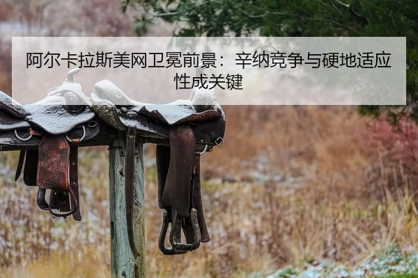 a-er-ka-la-si-mei-wang-wei-mian-qian-jing-xin-na-jing-zheng-yu-ying-di-shi-ying-xing-cheng-guan-jian-2-731.jpg