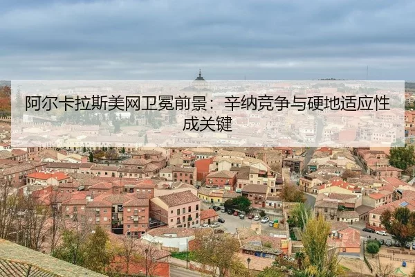 a-er-ka-la-si-mei-wang-wei-mian-qian-jing-xin-na-jing-zheng-yu-ying-di-shi-ying-xing-cheng-guan-jian-3-936.jpg