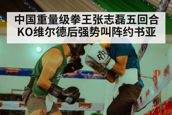 中国重量级拳王张志磊五回合KO维尔德后强势叫阵约书亚