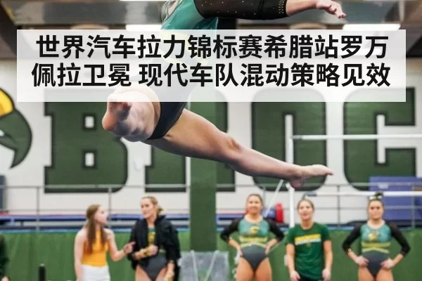世界汽车拉力锦标赛希腊站罗万佩拉卫冕 现代车队混动策略见效