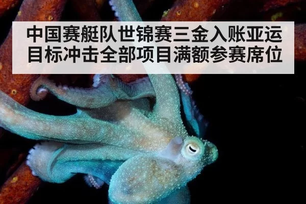 中国赛艇队世锦赛三金入账亚运目标冲击全部项目满额参赛席位