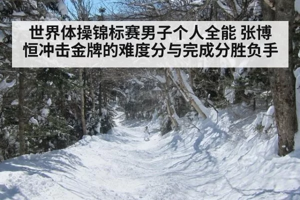 世界体操锦标赛男子个人全能 张博恒冲击金牌的难度分与完成分胜负手